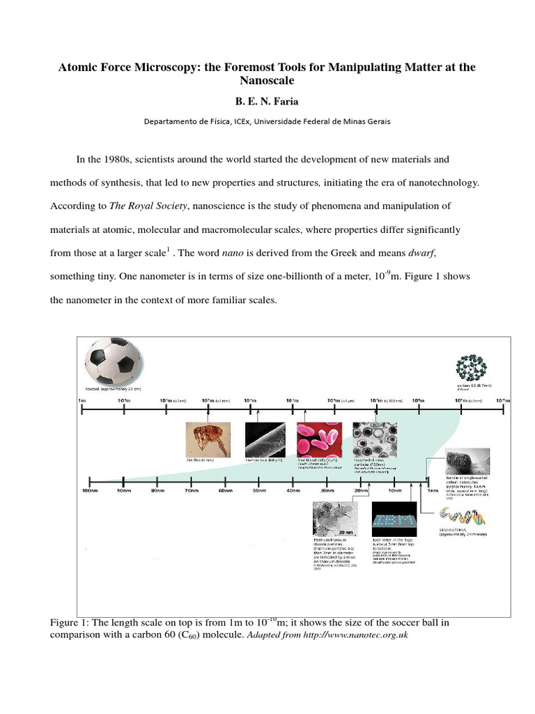 B Faria Atomic Force Micros | PDF | Atomic Force Microscopy ...