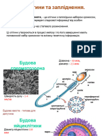 Віо - 9 - Статеві клітини та запліднення