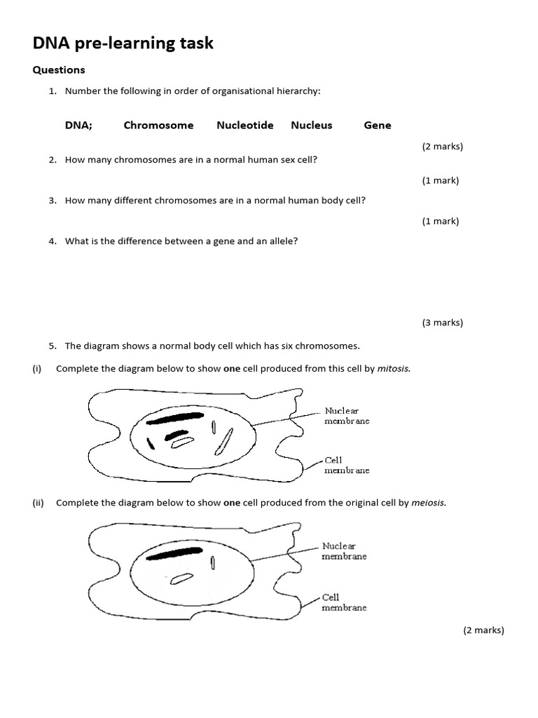 DNA Pre - Learning Task MS | PDF | Dna | Cell (Biology)