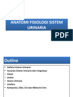 Naya Akbid Unbrah 14 Anatomi Fisiologi Sistem Urinaria