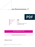 2-Dossier Professionnel Version Traitement de Texte 11-09-2017 3