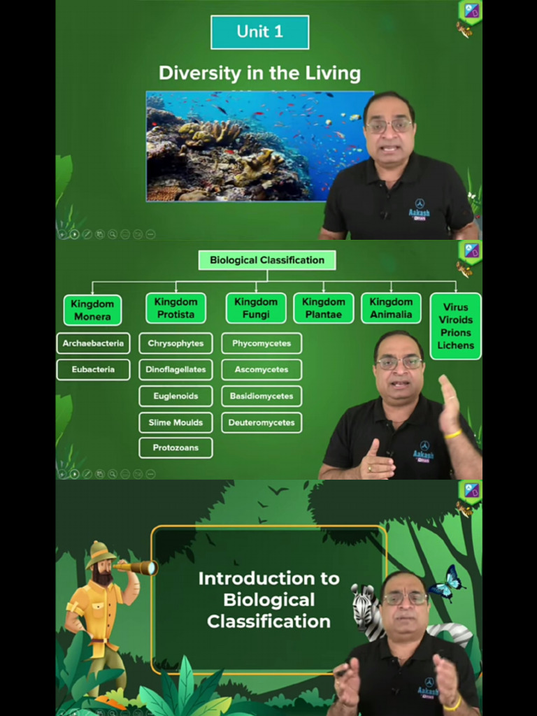 Bacteria Viruses Pdf