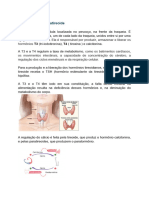 Apostila - Tireoide e Paratireoides