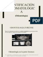 Identificación Estomatológica