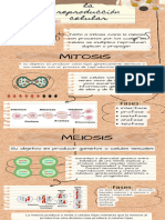 Infografia Reproduccion Celular 803