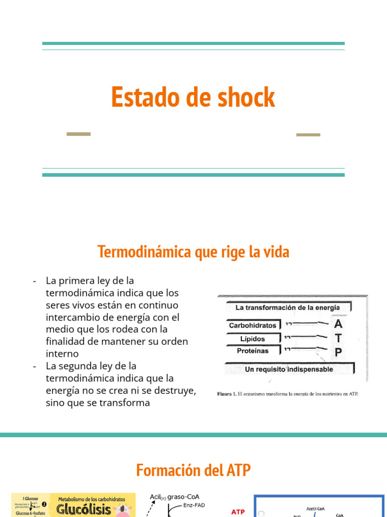 Termodinámica y Shock: ATP y Oxígeno | PDF