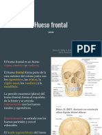 Frontal y Parietal Moore
