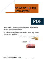 Denerve Kasın Elektrik Stimülasyonu TR