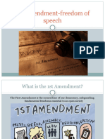 1st Amendment-Freedom of Speech