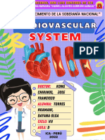 Cardiovascular System