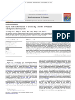 Rapid Biotransformation of Arsenic by A Model Protozoan