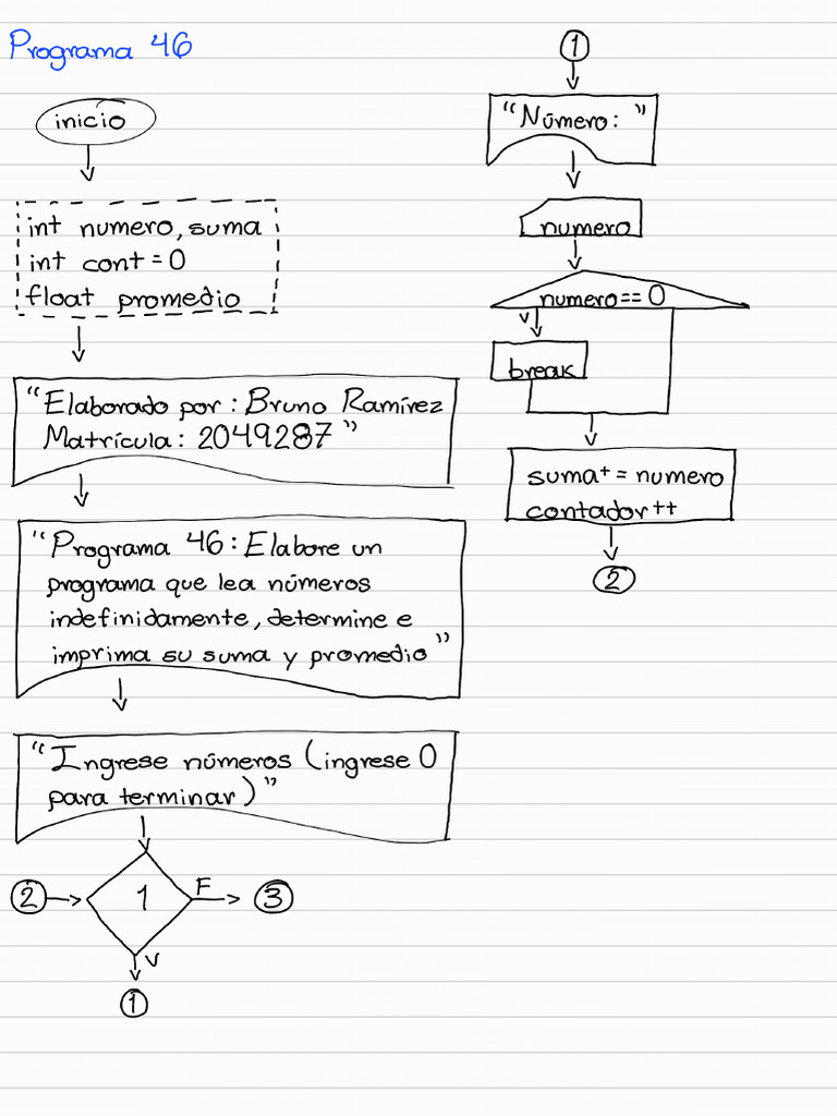 While do while pdf