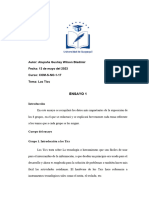 Formato para El Ensayo Ciclo I 2023 - 2024