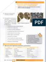 Leccion 4 Relaciones Entre Los Organismos