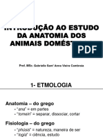 Aula 1. Introdução À Anatomofisiologia Dos Animais Domésticos I