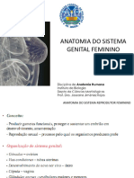 ANATOMIA DO sISTEMA rEPRODUTOR FEMININO