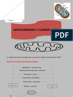 Biologia Enfermeria09