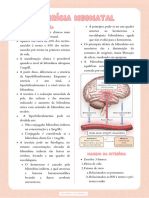 Transcrição Ictericia