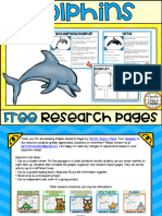 Dolphin Research