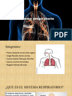 Sistema Respiratorio (Recuperado)