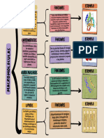 4 Macromoleculas Importantes