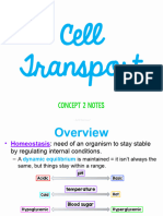 Concept 2 Notes - Cell Transport