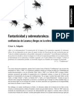 Salgado Sobrenaturaleza PDF