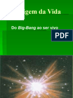 A Origem Da Vida: Do Big-Bang Ao Ser Vivo