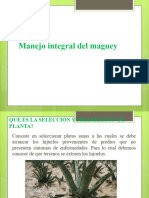 Manejo Integral Del Maguey