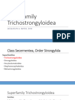 12 VPAR-55 Lec Superfamily-Trichostrongyloidea2