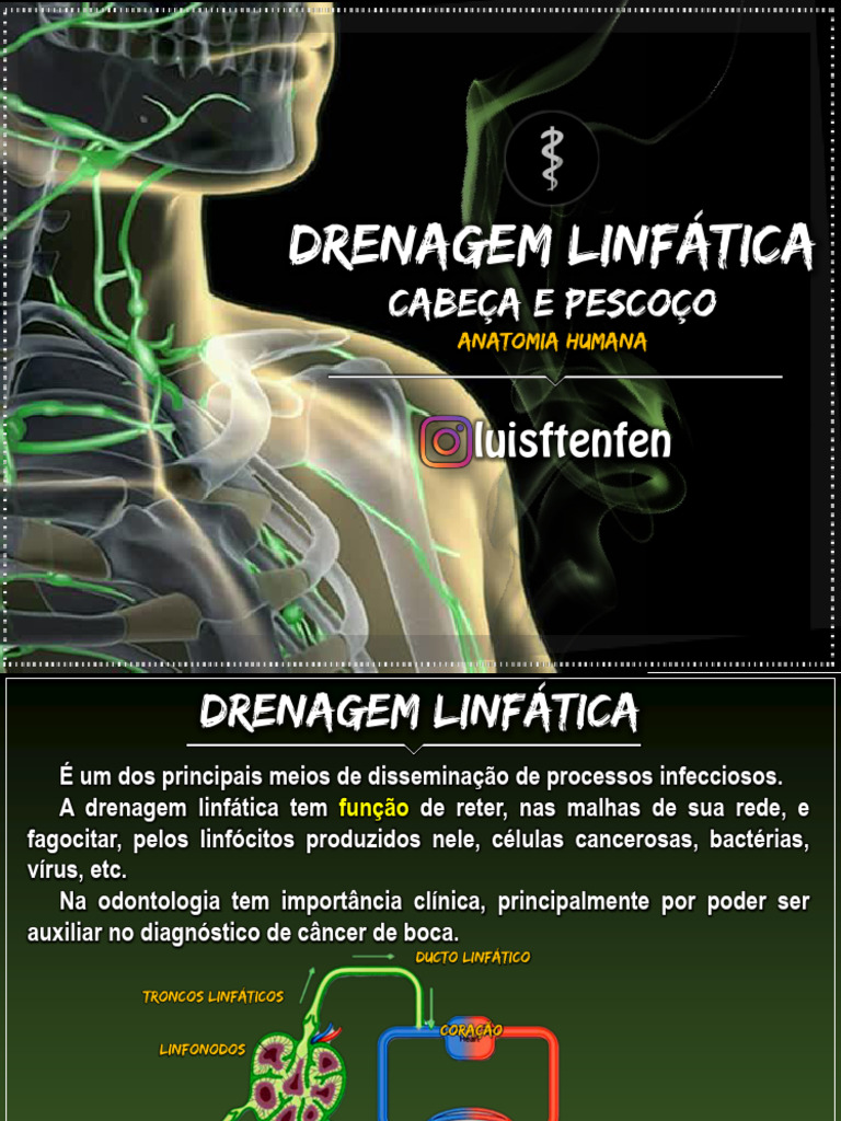 Drenagem Linfática Pdf Sistema Linfático Linfonodo