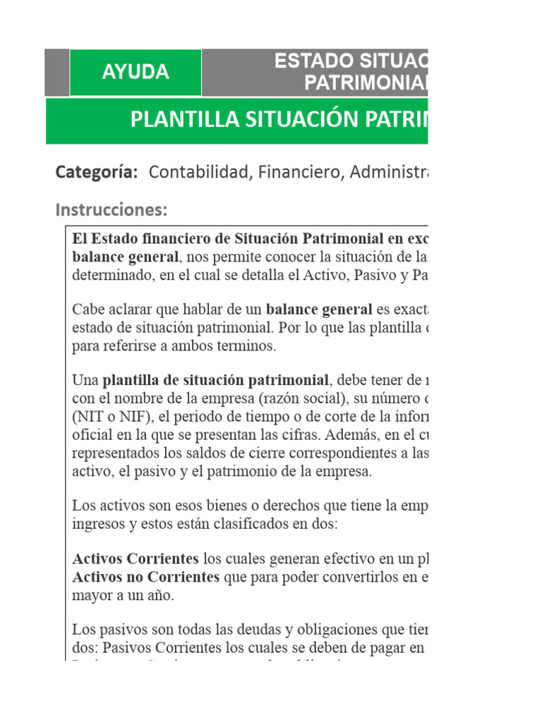 Plantilla Estado de Situaci N Patrimonial | PDF | Hoja de balance ...