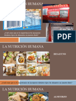 Nutrición Humana