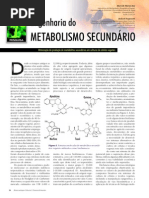 metabolSECUND