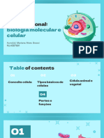 Biology Subject For High School - Animal Cell by Slidesgo