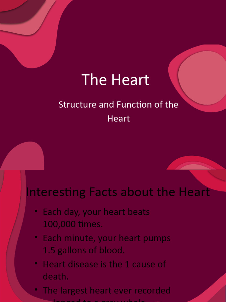 The Heart of The Matter | PDF | Heart Valve | Heart