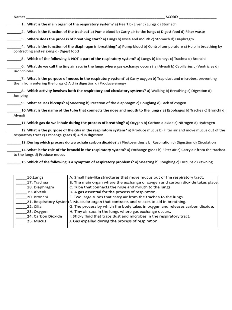 RESPIRATORY SYSTEM WORKSHEET PDF GRADE 10 visual data 2