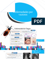 Enfermedades Por Vectores