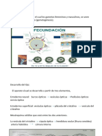 Anatomia y Estr. y Función O.H.