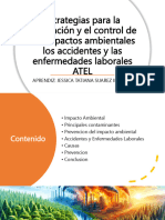 Estrategias para La Prevención y El Control Del Medio Ambiente