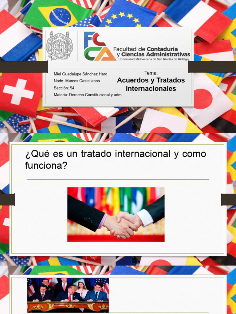 Acuerdos Y Tratados Internacionales Pdf