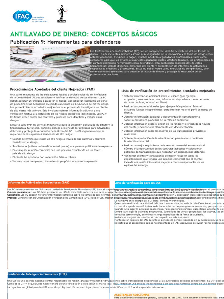 Le 15 IFAC - Parte-9 | PDF | Contabilidad | Inteligencia artificial