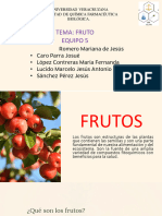 Fruto Equipo 5