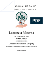 Lactancia Materna-1