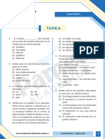 ANATOMIA - Tarea R8