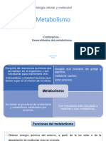 Generalidades de Metabolismo PDF