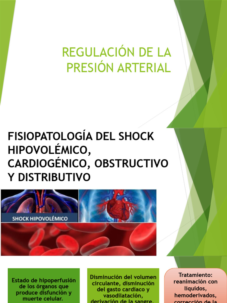Regulación de La Presión Arterial | PDF | Citocina | Sistema inmune