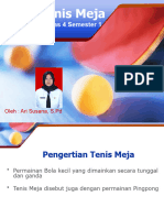 Tenis Meja