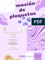 PLAQUETAS Presentacion