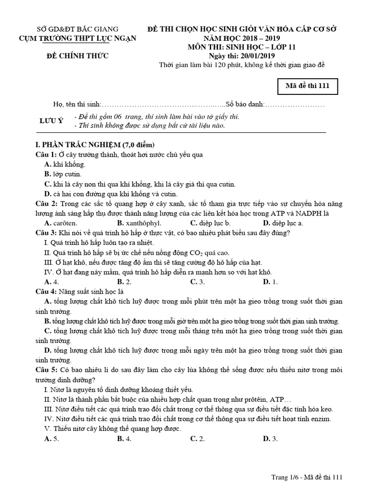Đề 3 Lục Ngạn 18-19-Sinh 11 HSG - 111 | PDF